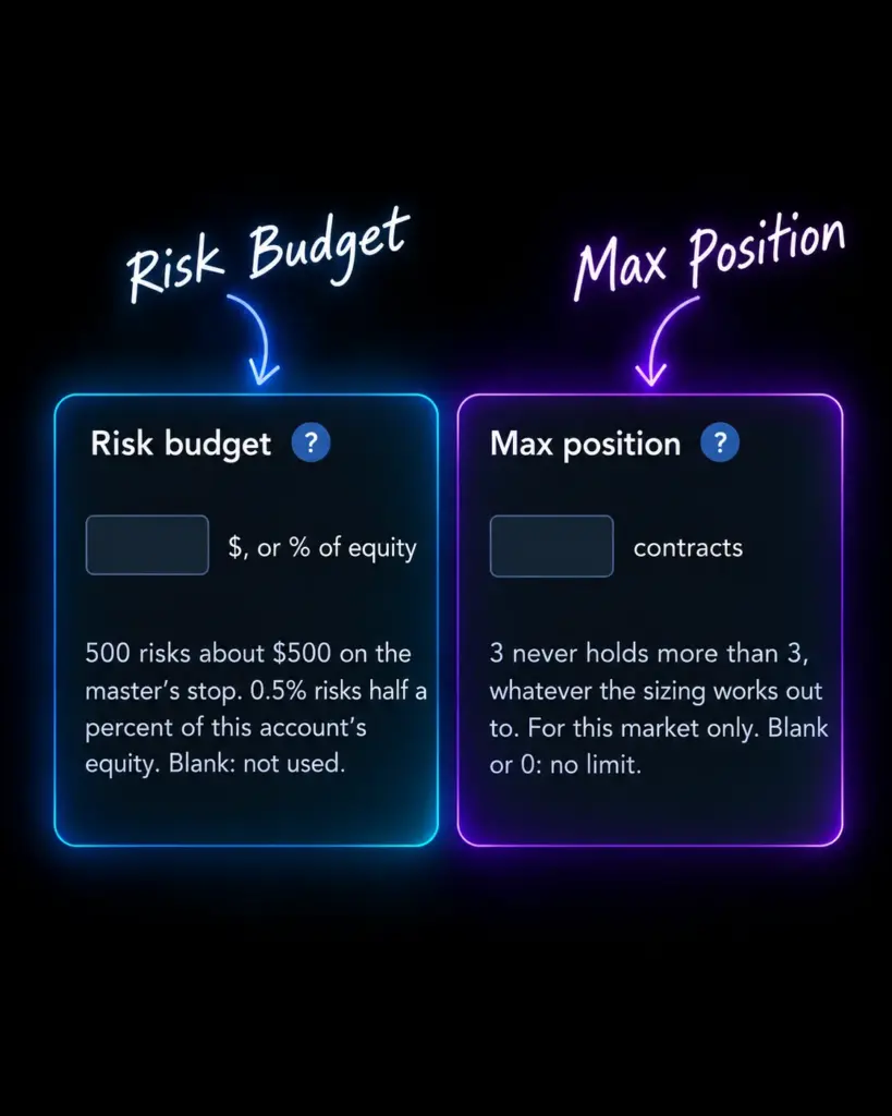Risk Budget